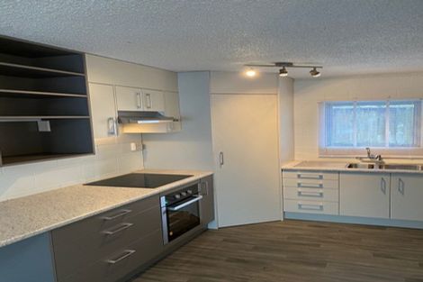 Photo of property in 170 Ulster Street, Whitiora, Hamilton, 3200