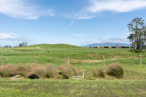 Photo of property in 133 Robson Road, Ngahinapouri, Hamilton, 3290