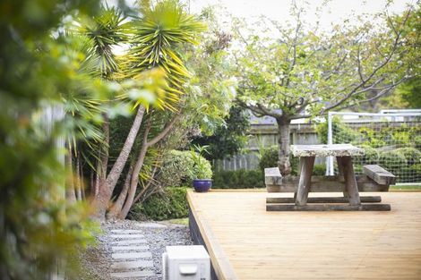 Photo of property in 9 Sheehan Street, Bay View, Napier, 4104