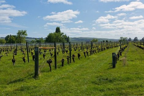 Photo of property in 35 Brighton Street, Island Bay, Wellington, 6023