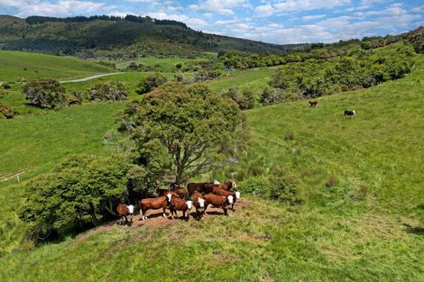 Photo of property in 304b Pigeon Flat Road, Mount Cargill, Waitati, 9085