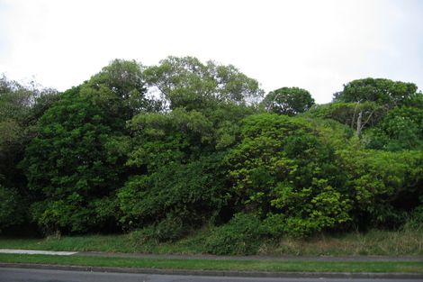 Photo of property in 72 Rimu Street, Waikanae, 5036