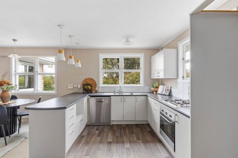 Photo of property in 62 Huatoki Street, Vogeltown, New Plymouth, 4310