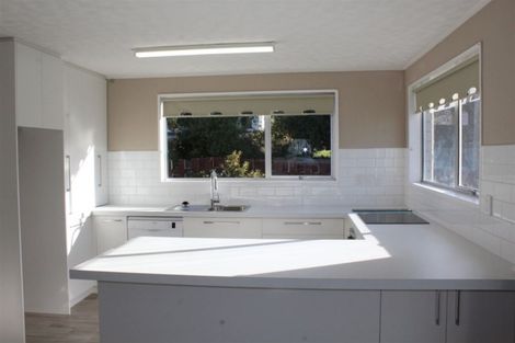 Photo of property in 18 Argyle Street, Mornington, Dunedin, 9011