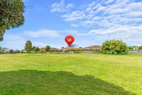 Photo of property in 19 Reilly Avenue, Mount Maunganui, 3116