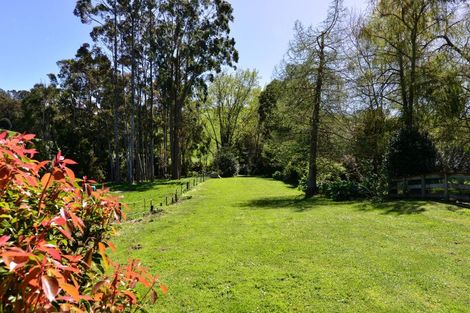 Photo of property in 431 Scotsman Valley Road, Tauwhare, Morrinsville, 3371