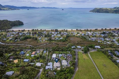 Photo of property in 937 Purangi Road, Cooks Beach, Whitianga, 3591