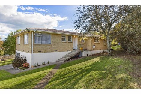 Photo of property in 24 Gavin Place, Huntly, 3700