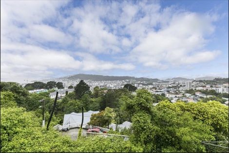 Photo of property in 58 Fairlie Terrace, Kelburn, Wellington, 6021