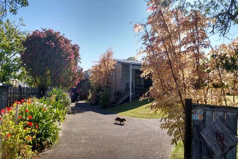 Photo of property in 19 Sungrove Rise, Sunnyvale, Auckland, 0612