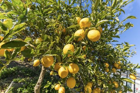 Photo of property in 19 Konini Street, Inglewood, 4330