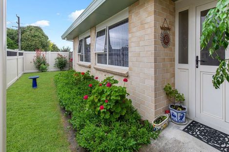 Photo of property in 61 Winchester Street, Levin, 5510
