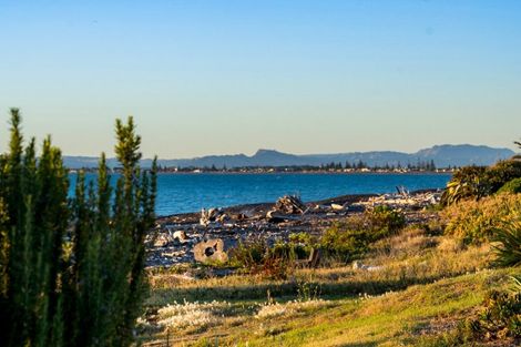 Photo of property in 10 Mer Place, Bay View, Napier, 4104