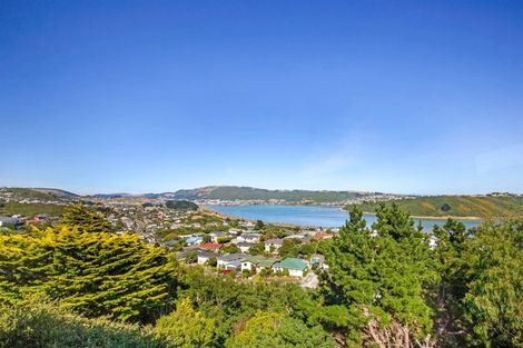 Photo of property in 40 Eskdale Road, Papakowhai, Porirua, 5024