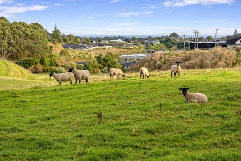 Photo of property in 492 Carrington Road, Hurworth, New Plymouth, 4371