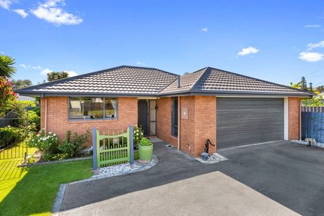 Photo of property in 31a Lee Street, Blenheim, 7201