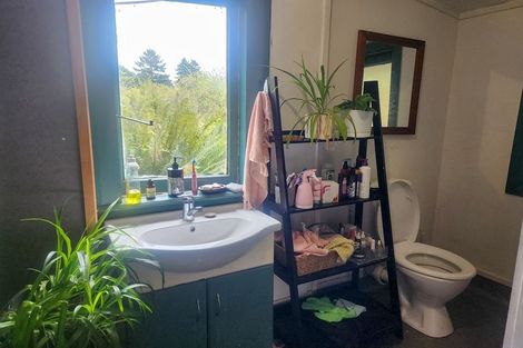 Photo of property in 600 Nelson Creek Road, Nelson Creek, Dobson, 7872