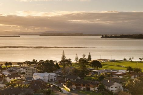 Photo of property in 20 Clivedene Street, Matua, Tauranga, 3110