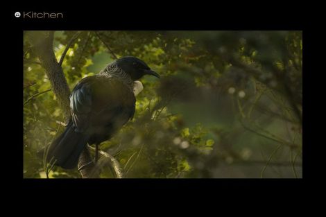 Photo of property in 12a Windsor Place, Queenstown, 9300