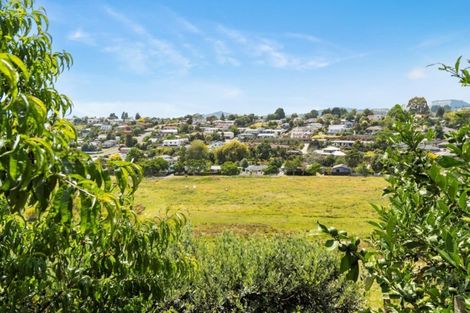 Photo of property in 44 Diamond Head, Hairini, Tauranga, 3112