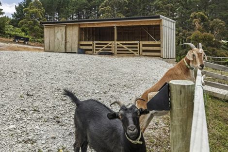 Photo of property in 276a Glenmore Road, Coatesville, Albany, 0793