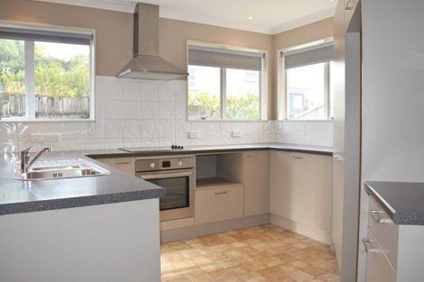 Photo of property in 19a Carey Street, Maeroa, Hamilton, 3200