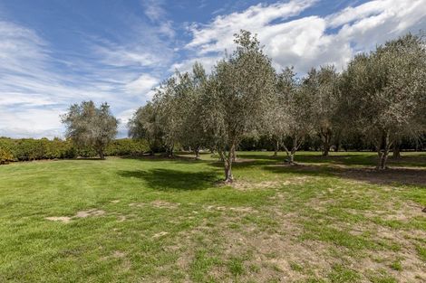 Photo of property in 350 Porangahau Road, Waipukurau, 4282