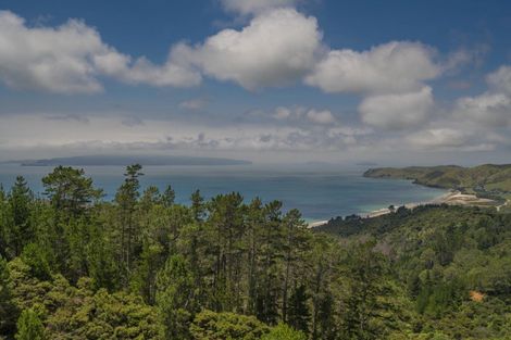 Photo of property in 212 Black Jack Road, Kuaotunu, Whitianga, 3592