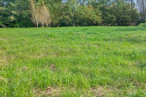 Photo of property in 13b Spring Street, Foxton, 4814