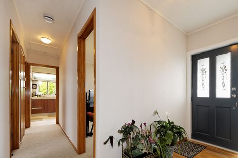 Photo of property in 53 Ellis Avenue, Mount Roskill, Auckland, 1041