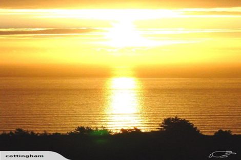 Photo of property in 122 Lone Kauri Road, Karekare, New Lynn, 0772