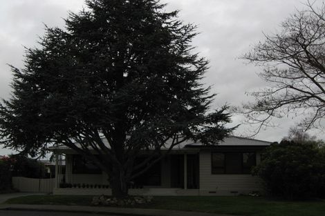 Photo of property in 807 Oxford Street, Saint Leonards, Hastings, 4120