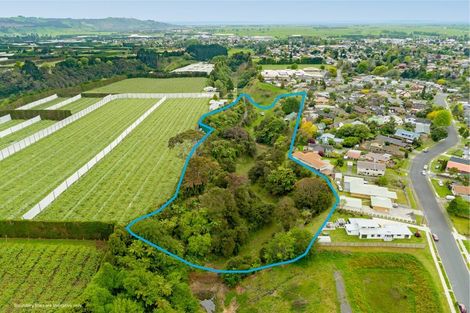 Photo of property in 18 Williams Drive, Te Puke, 3119