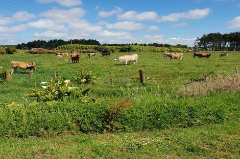 Photo of property in 69 Hoods Landing Road, Otaua, Waiuku, 2682