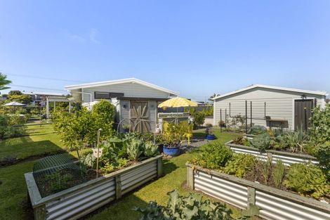 Photo of property in 66 Harbour Road, Ohope, 3121