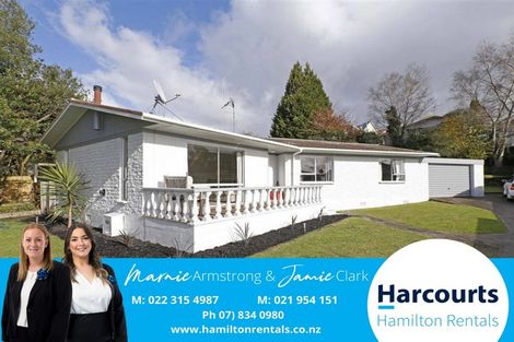 Photo of property in 36 Hazelwood Avenue, Dinsdale, Hamilton, 3204