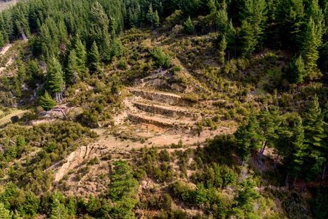 Photo of property in 895 Waikakaho Road, Tuamarina, Blenheim, 7273