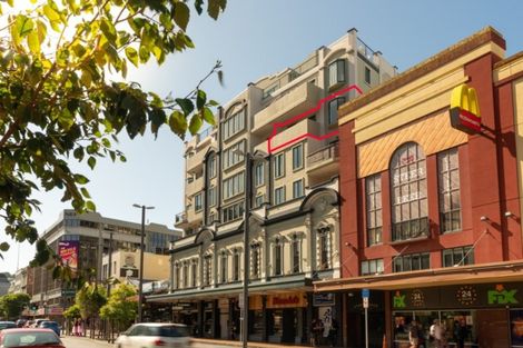 Photo of property in Courtenay Apartments, 502/120 Courtenay Place, Te Aro, Wellington, 6011