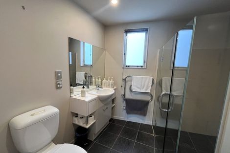 Photo of property in The Lofts, 39/185 Victoria Street, Te Aro, Wellington, 6011