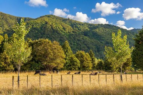Photo of property in 433a Waiohine Gorge Road, Dalefield, Carterton, 5791