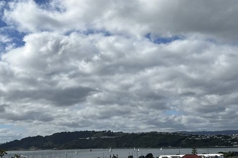 Photo of property in 7 Naughton Terrace, Kilbirnie, Wellington, 6022