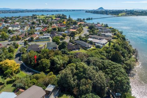 Photo of property in 67 Te Hono Street, Maungatapu, Tauranga, 3112