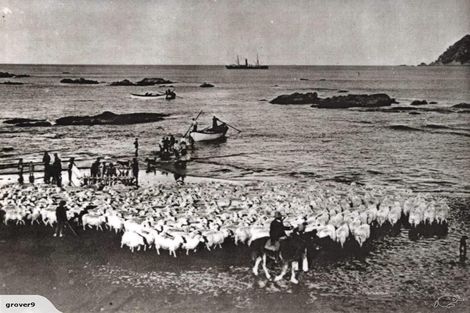 Photo of property in 502 Waipiro Road, Waipiro, Tokomaru Bay, 4079