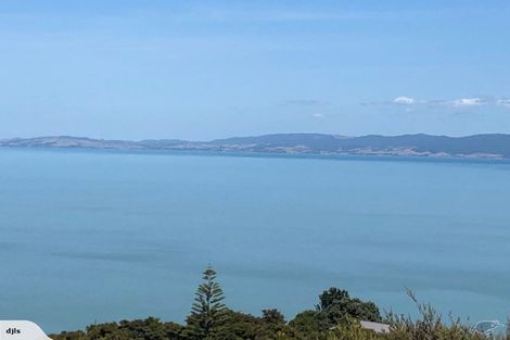 Photo of property in 45 Otuturu Crescent, Ruamahunga, Thames, 3575