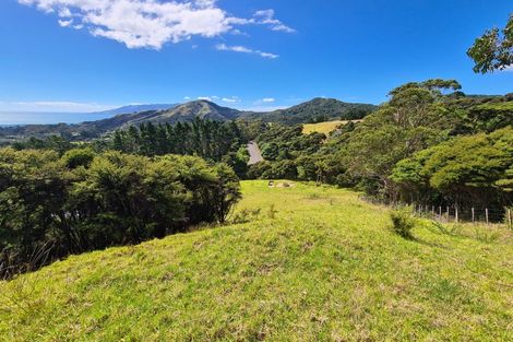 Photo of property in 1702 Colville Road, Amodeo Bay, Coromandel, 3584