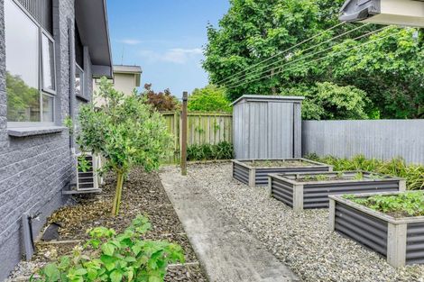 Photo of property in 15 Vera Street, Gore, 9710