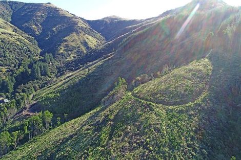 Photo of property in 90 Bachelors Road, Little River, 7591