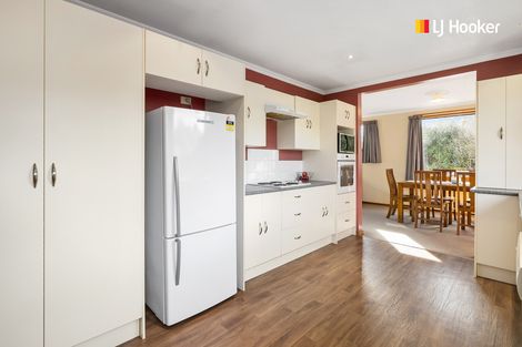 Photo of property in 52 Nairn Street, Kaikorai, Dunedin, 9010