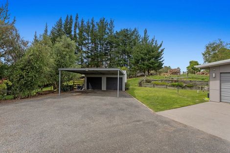 Photo of property in 133 Hogg Road, Rotoma, Whakatane, 3192
