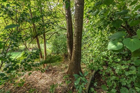 Photo of property in 5b Glandwr Crescent, Whanganui East, Whanganui, 4500